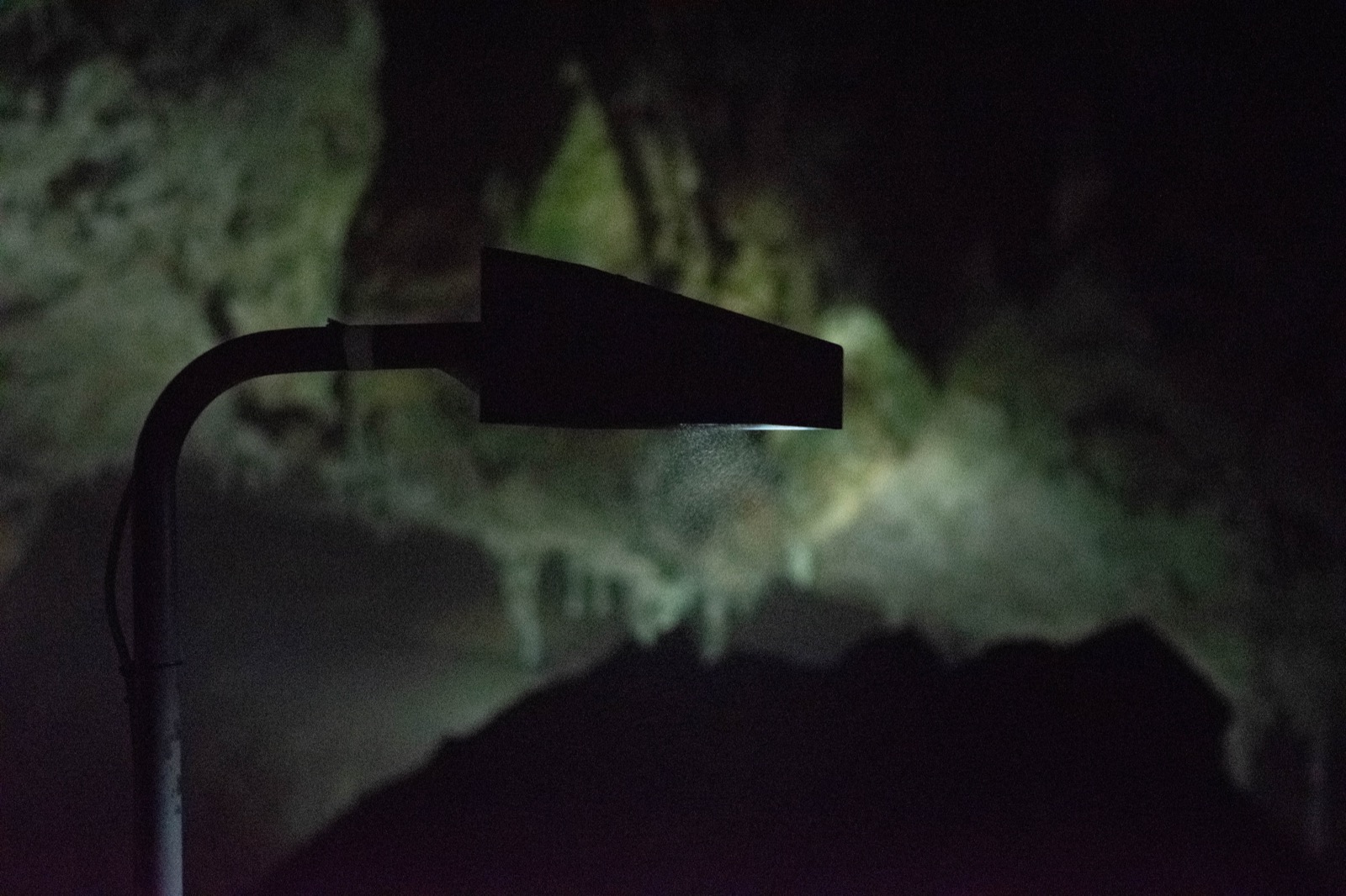 DSC_0416.jpeg
