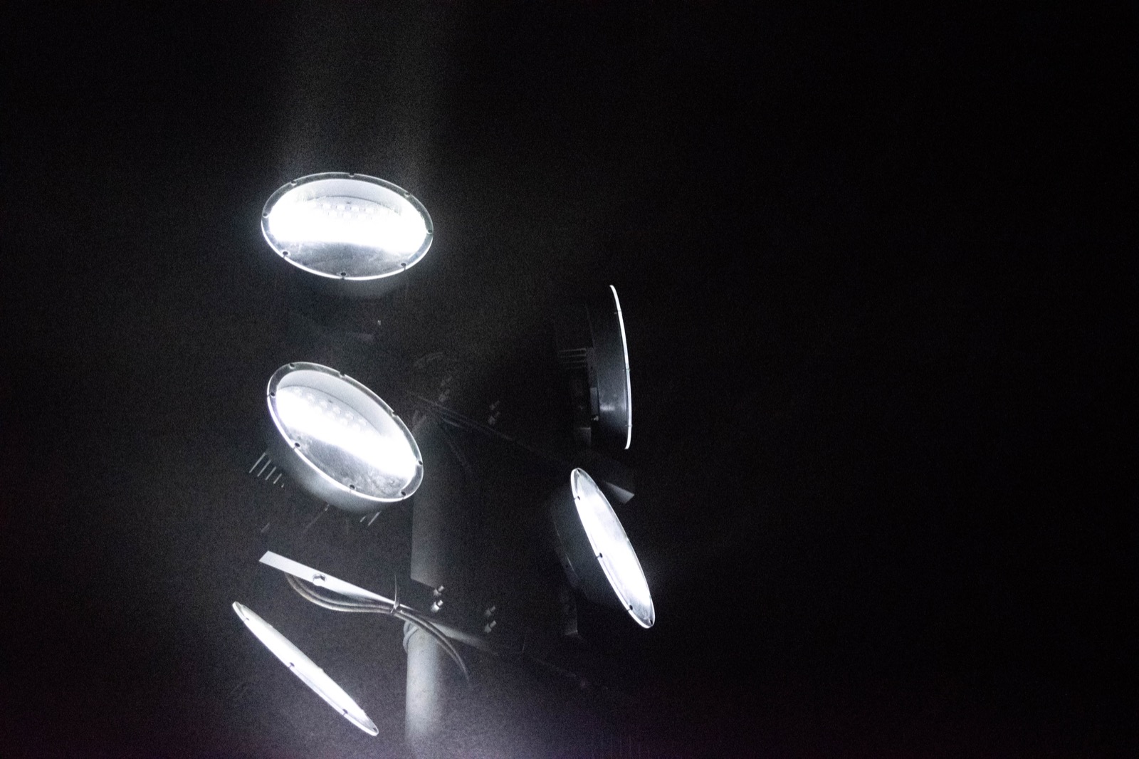 DSC_0479.jpeg
